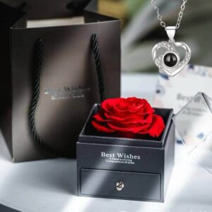 ▪️Projection Necklace Set With Rose Gift Box 100 Languages I Love You Heart Pendant Jewelry✨